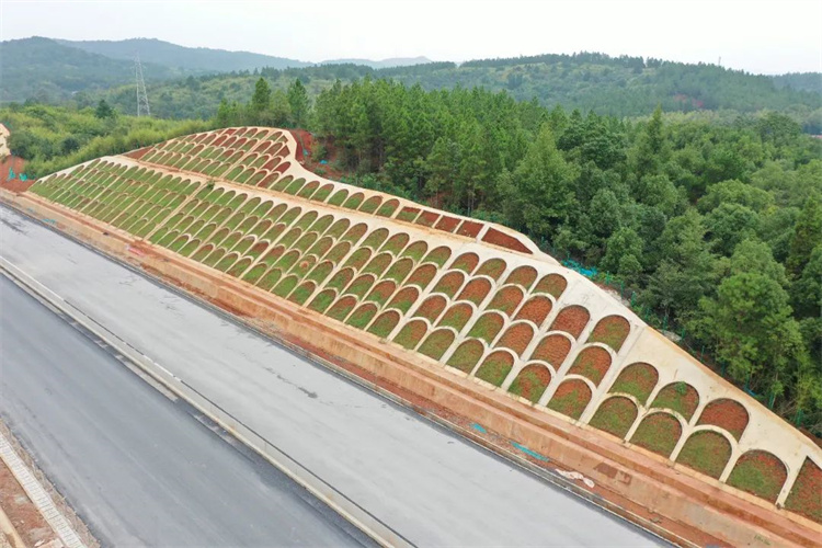 20231110919675.jpg 640 (2).jpg